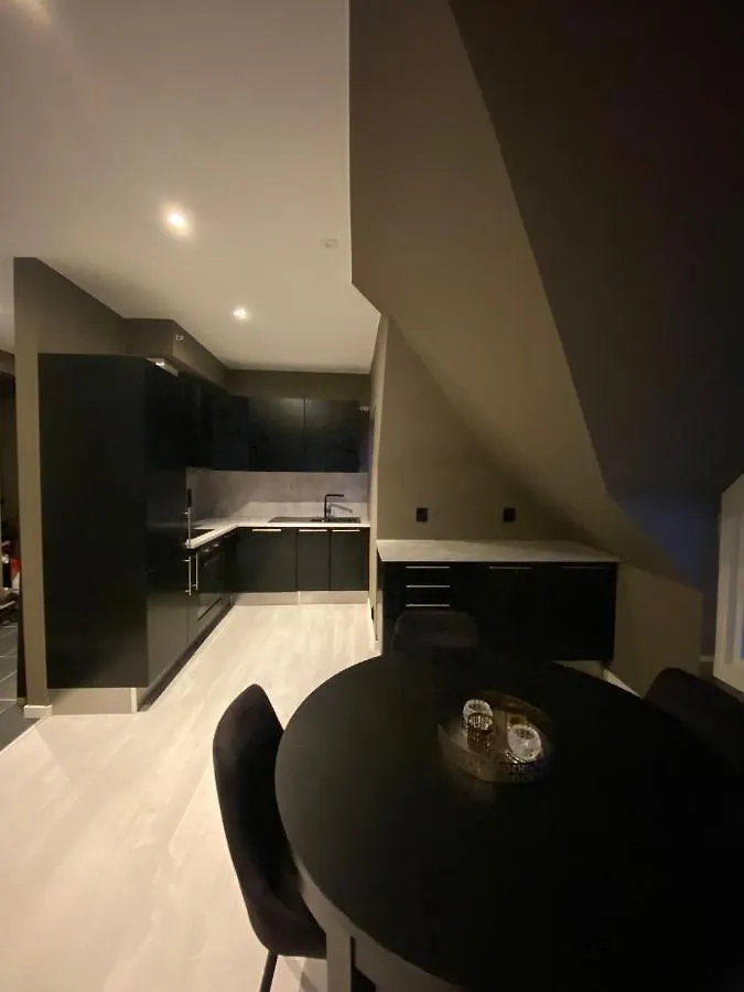 Appartamento Penthouse With Private Balcony In The City Centre Of Bergen 0*,